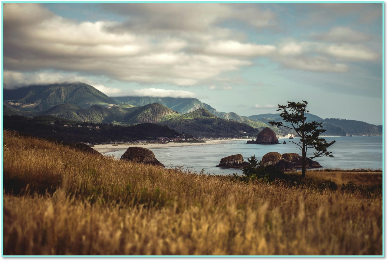 Real Estate Continuing Education